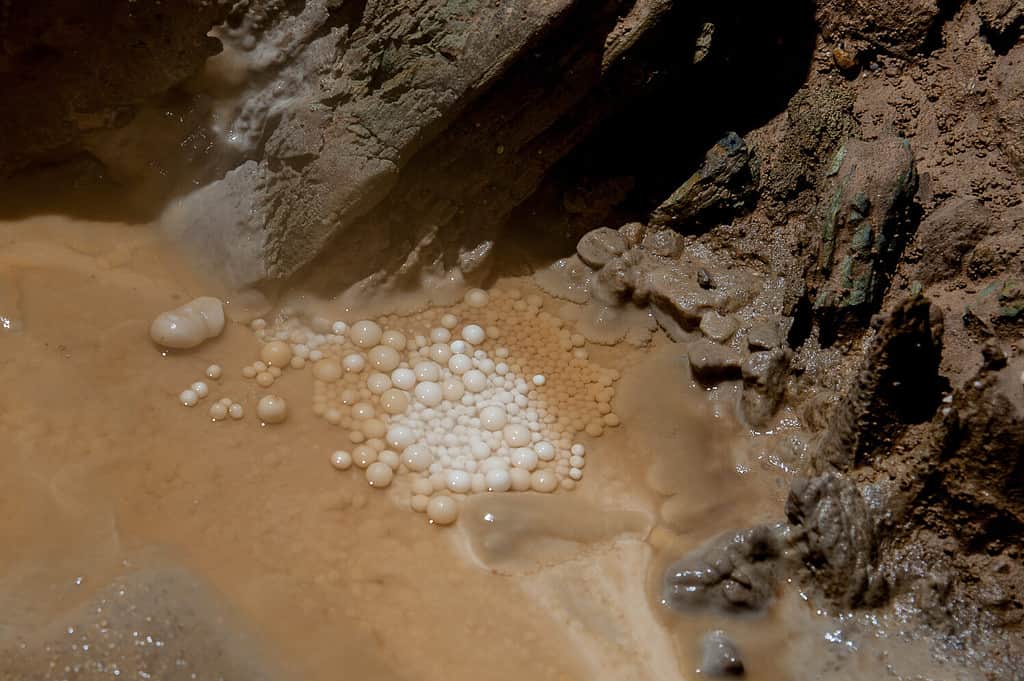 Cave pearls in karst cave Leningradskaya. Caucasus mountains. Abkhazia.