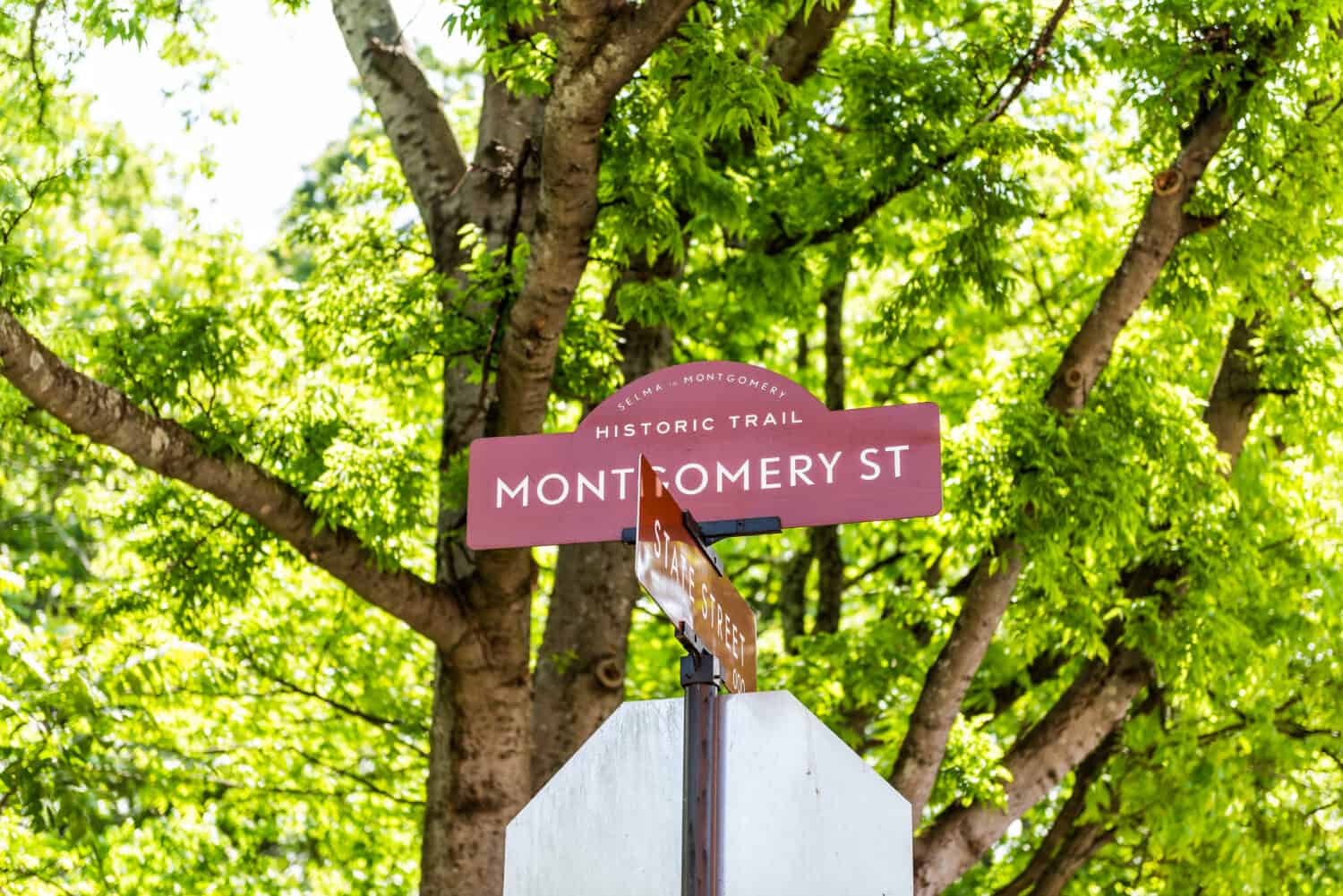 A sign of Montgomery street. 