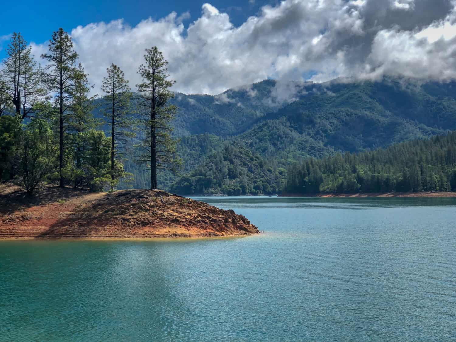 Lake Shasta landscape