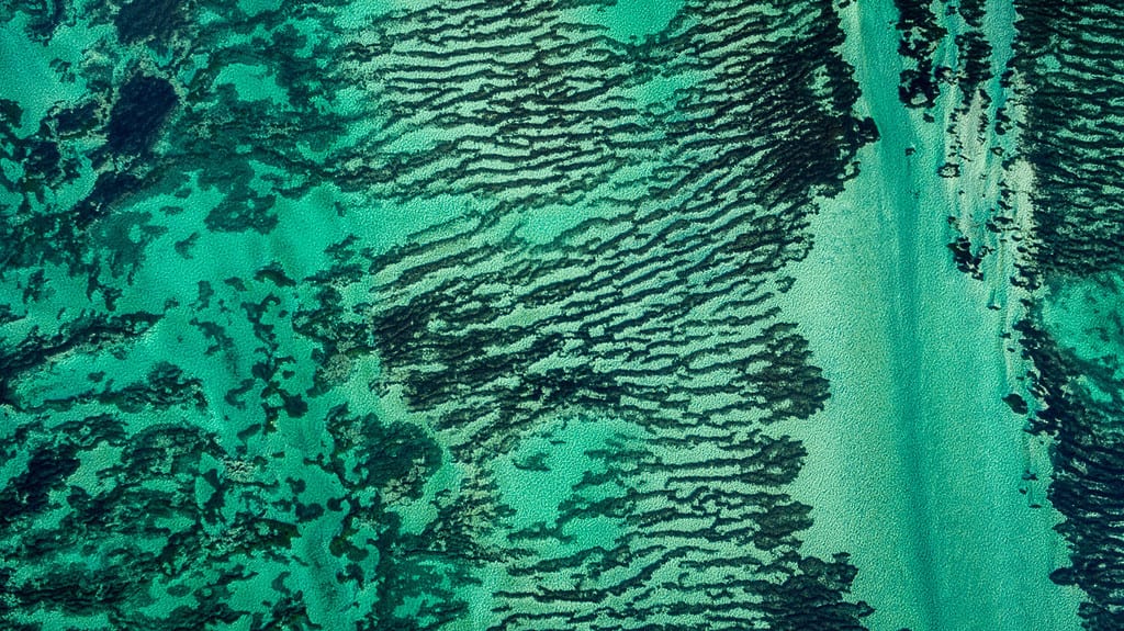 Vertical aerial drone view of seagrass meadows and headlands in the World Heritage Listed Shark Bay Conservation Area.