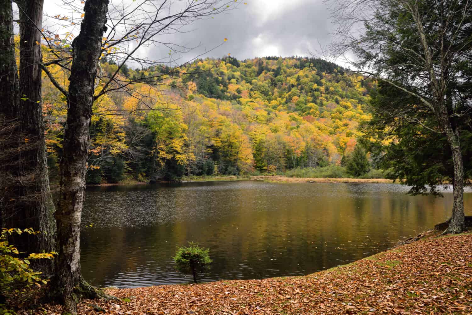 A photo of Lake Mansfield during fall. 