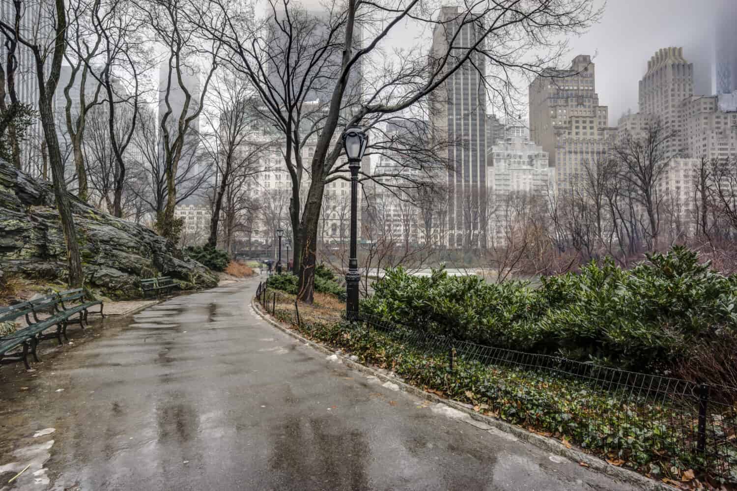Central Park, New York City after rain storm on sidewalk