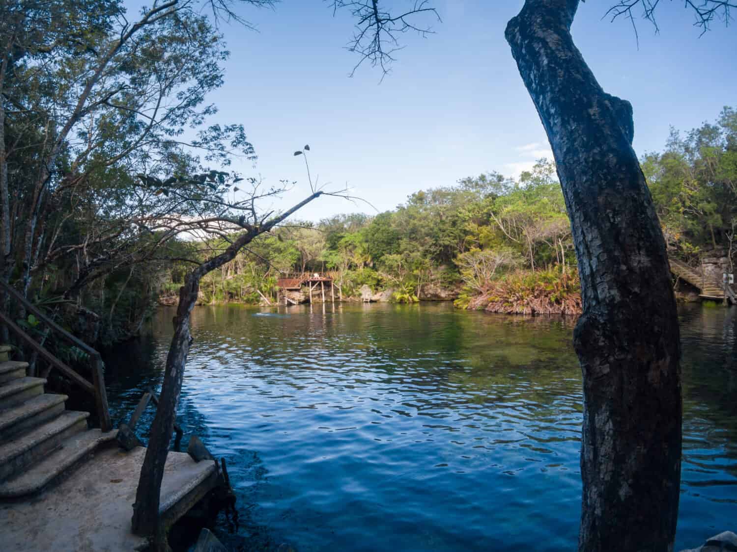 The cenote El Jardin del Eden in Quintana Roo, Mexico.
