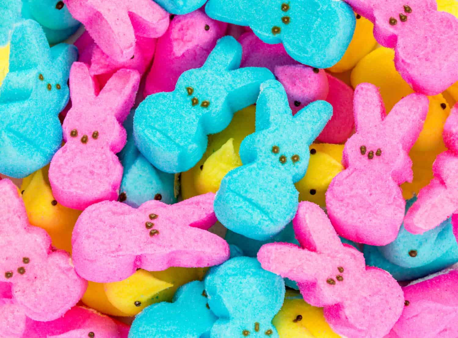 background texture-full frame of colorful marshmallow Easter peeps