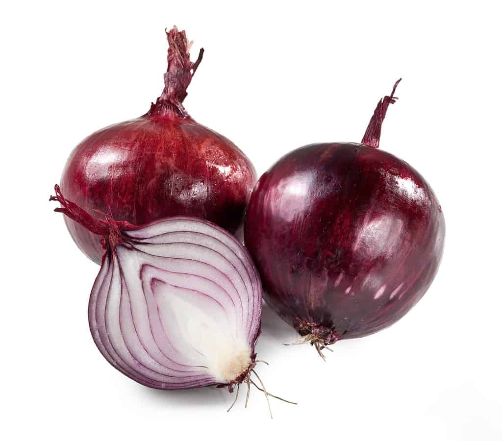 Onion of Tropea, Italy, "Cipolla Calabria" Isolated on White Background – Group, Halved, Sliced Red Bulb, Purple Color, Close Up on Layers Inside, Unpeeled Glossy Skin – Detailed Close-Up Macro
