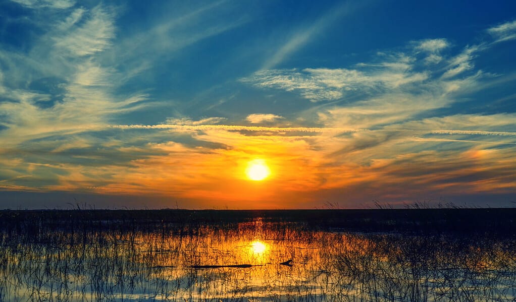 Sunset over the waters of Lake Okeechobee in Florida, USA. With marshy grass growing in the shallow lake.