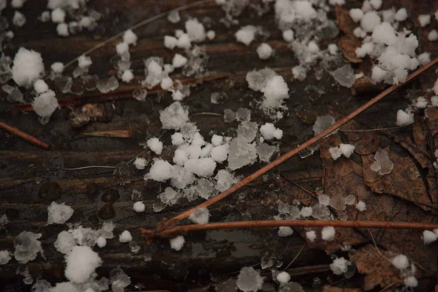 Sleet and ice on a wooden deck with dried pine needles.