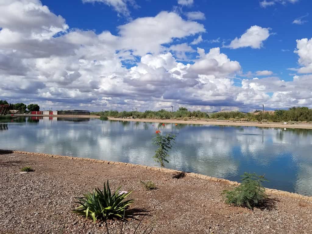 Mansel Carter Oasis Park, Queen Creek, AZ, Oct 3, 2018
