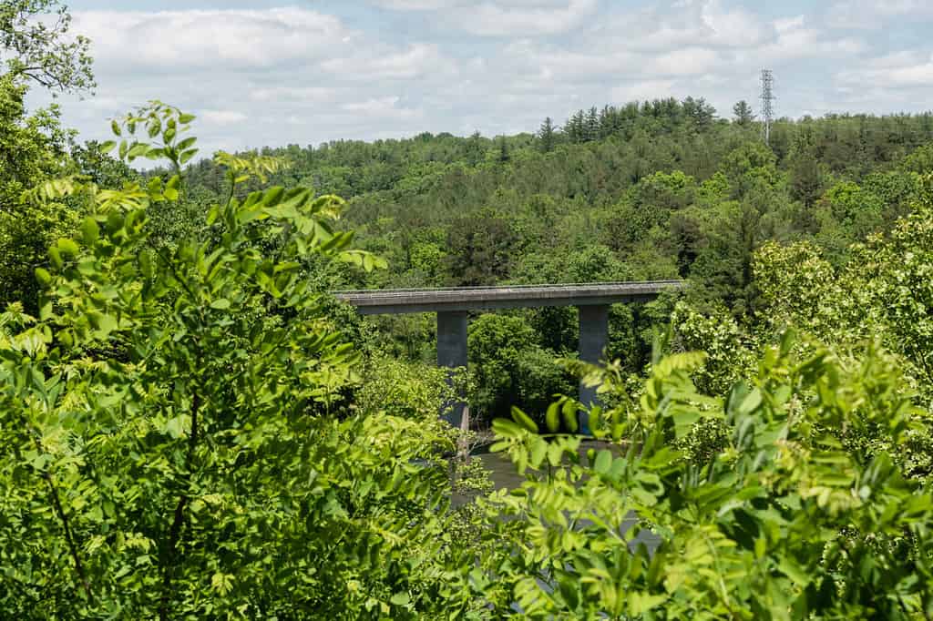 Blue Ridge Parkway vista - a bridge over the French Broad River in springtime, Asheville, North Carolina