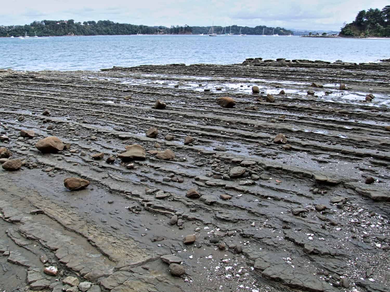 Grey sandstone rocks form stripes across a shore platform. Calm blue ocean and hills lie in the background.