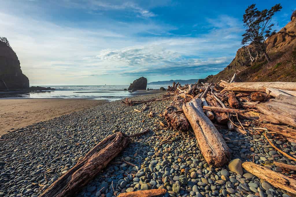 Shoreline Views, Ruby Beach in Olympic National Park Washington