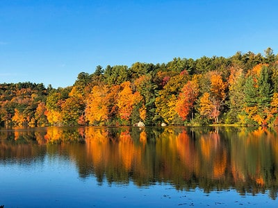 A Discover When Leaves Change Color in Connecticut (Plus 18 Towns with Beautiful Foliage)