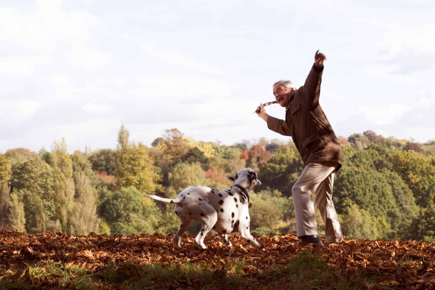 A senior man playing with his dog amongst the autumn leaves