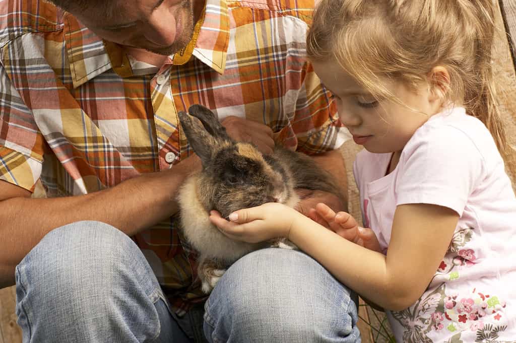 Father and daughter with bunny rabbit