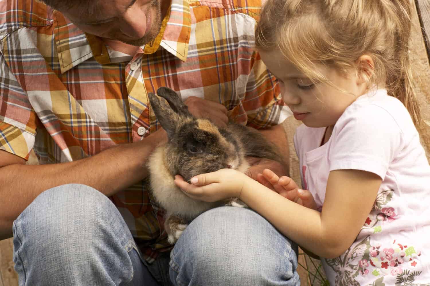 Father and daughter with bunny rabbit