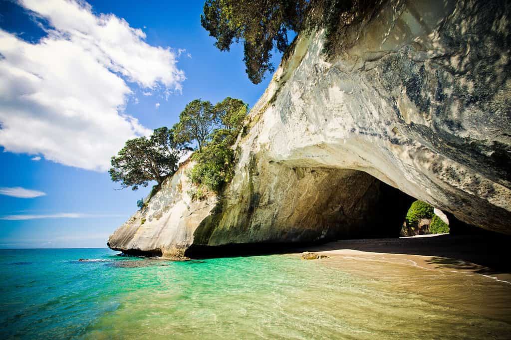 Cathedral Cove marine reserve on the Coromandel Peninsula in New Zealand