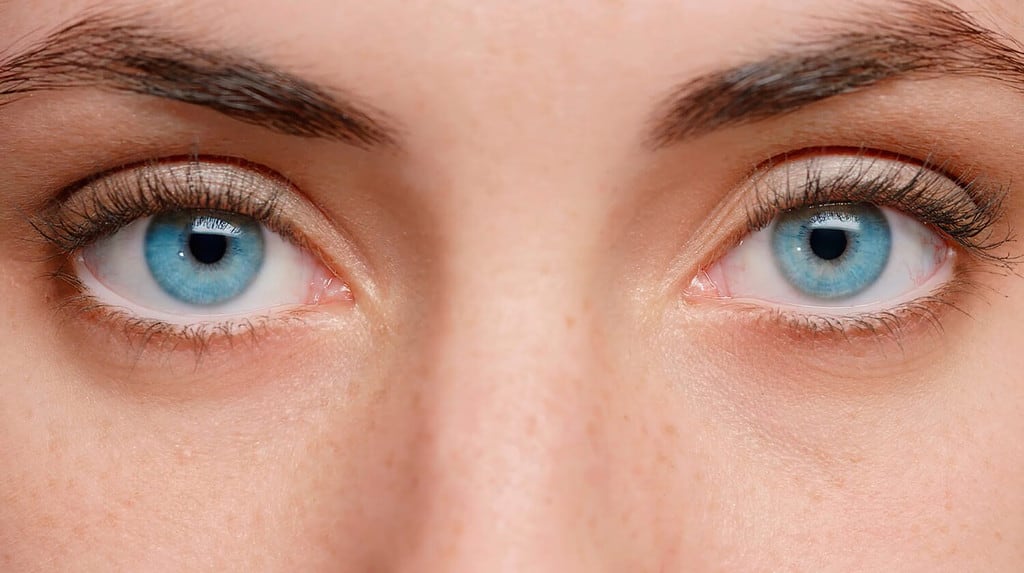 Close up photo. Blue eyes of the girl near. Clean skin and well-groomed. Beautiful eyebrows. In the eyes of reflection.