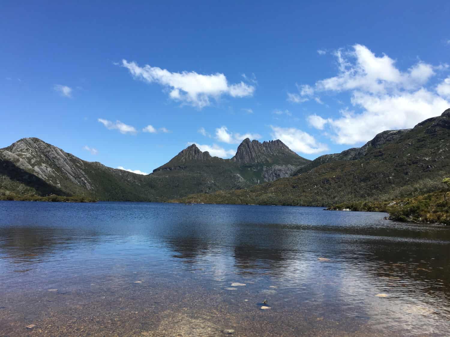 ‎⁨Cradle Mountain and Lake Saint Clair National Park⁩ of Tasmania in ⁨Australia⁩