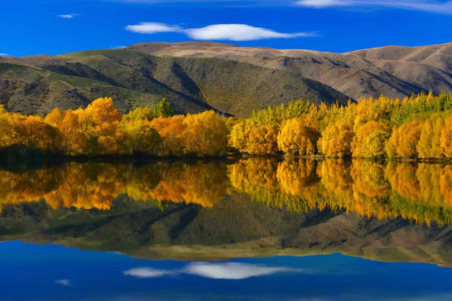 Symmetric image at Lake Ruataniwha in Autumn.