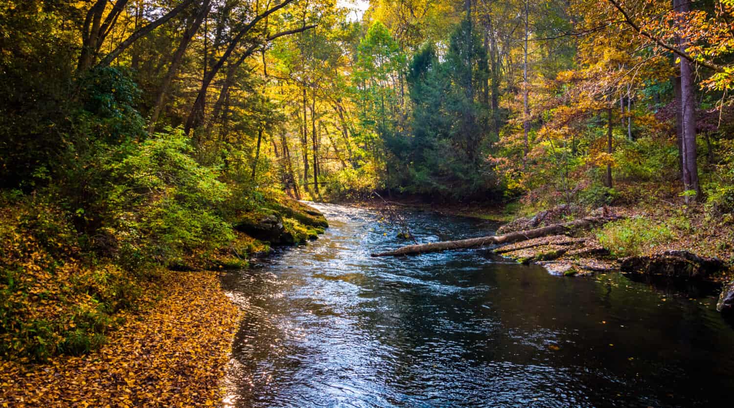 Early autumn color along the Gunpowder River in Gunpowder Falls State Park, Maryland.