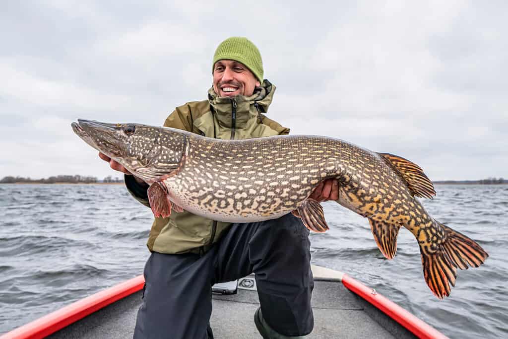 A happy angler holding a fish 