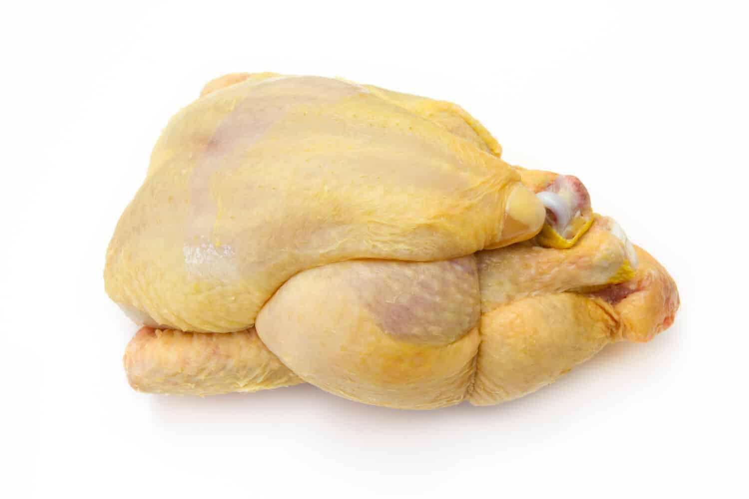 whole raw guinea fowl isolated on a white background