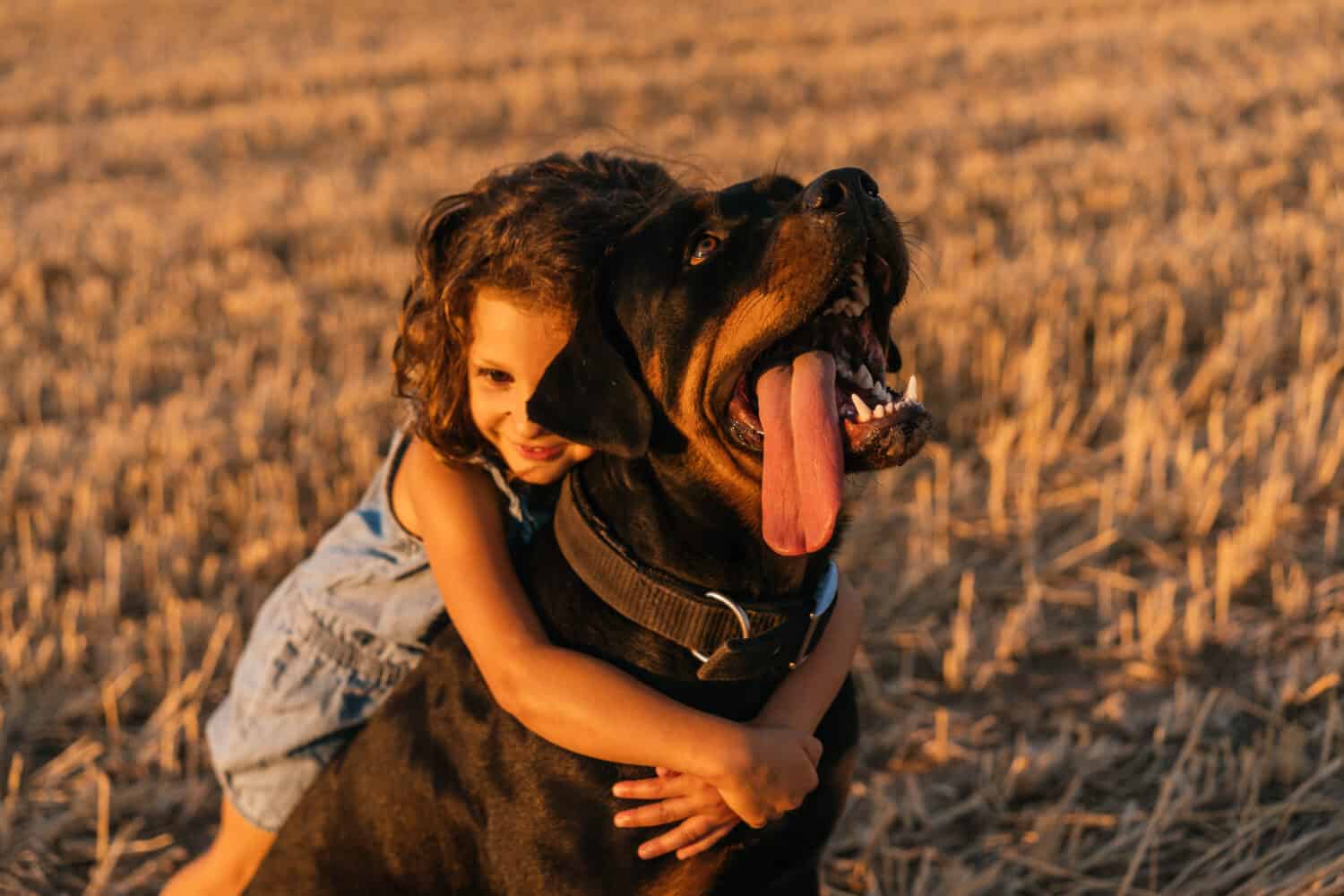 Portrait of Young brown-haired girl hugging her black dog during sunset in the field