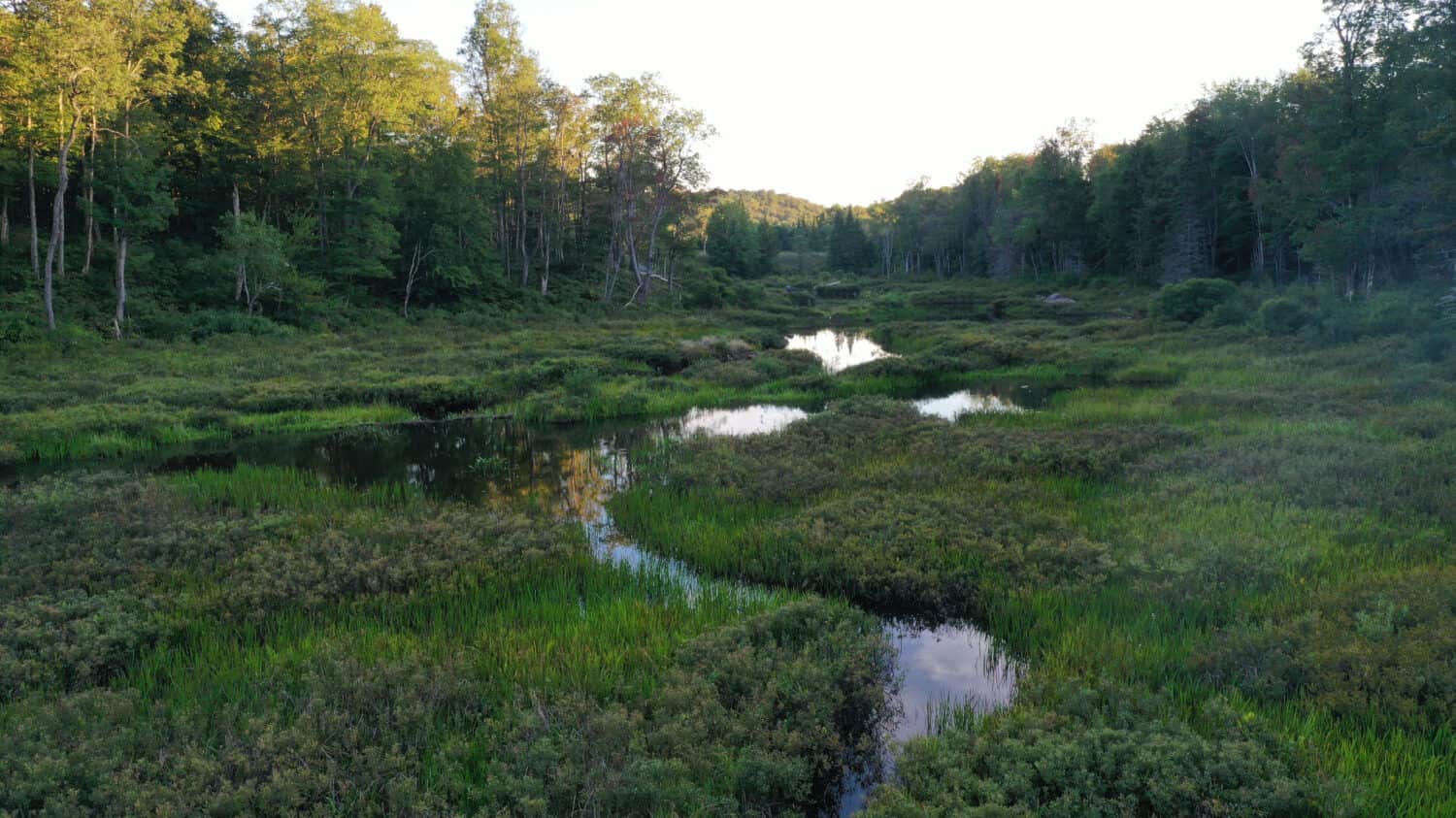 a  bog during late afternoon in the early fall in the Adirondack Mountains of New York State