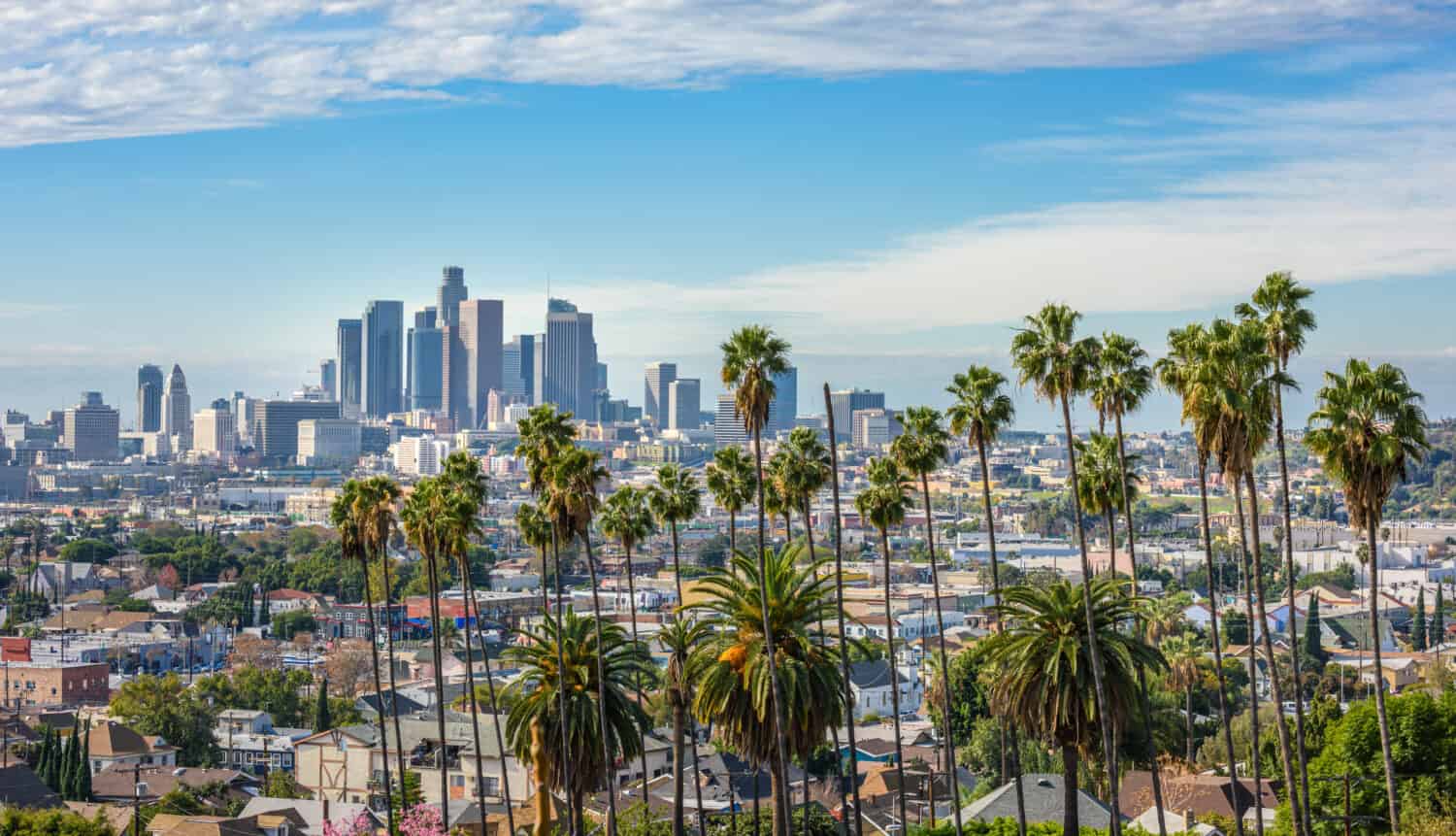 Discover the Largest Cities in California in 2024 AZ Animals