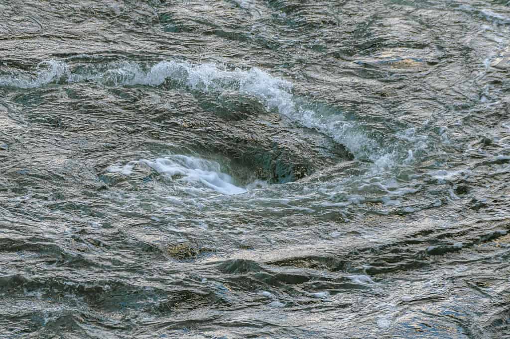 A small but turbulent whirlpool formed where a river meets a harbor. Lots of spray and foam in the dark green tinted water.