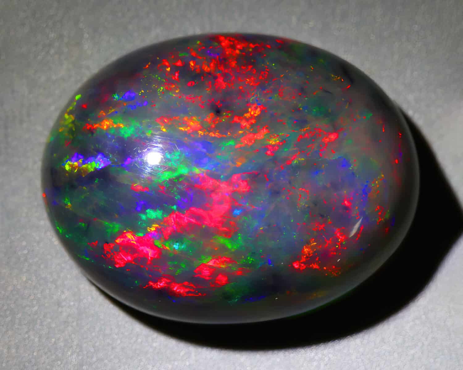 Natural gemstone black opal on gray background