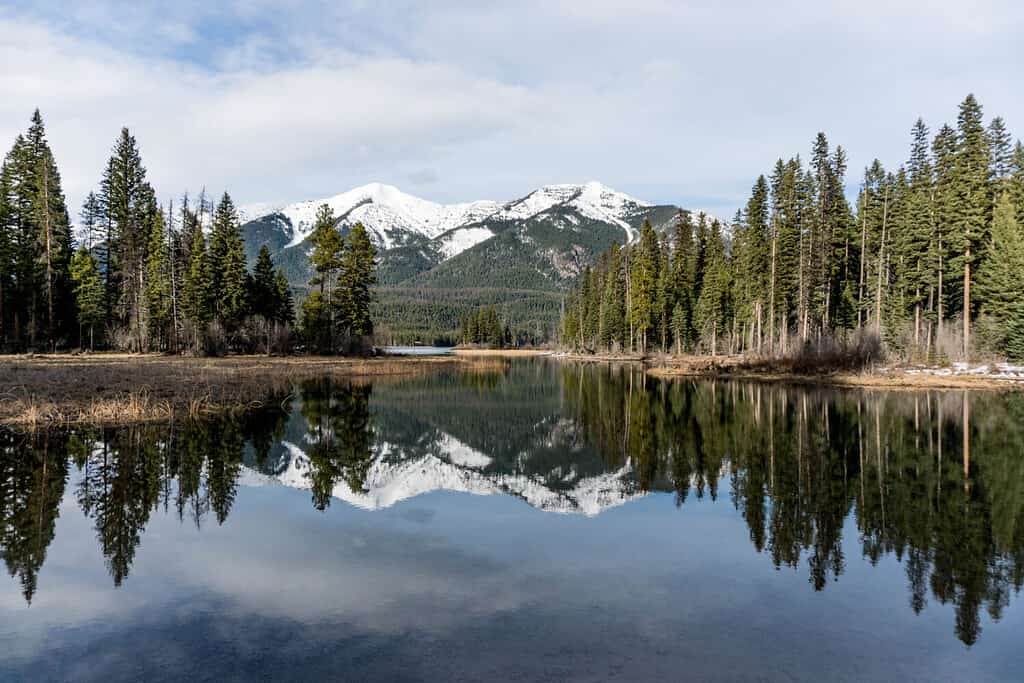 The 18 Best Fishing Lakes in Montana AZ Animals