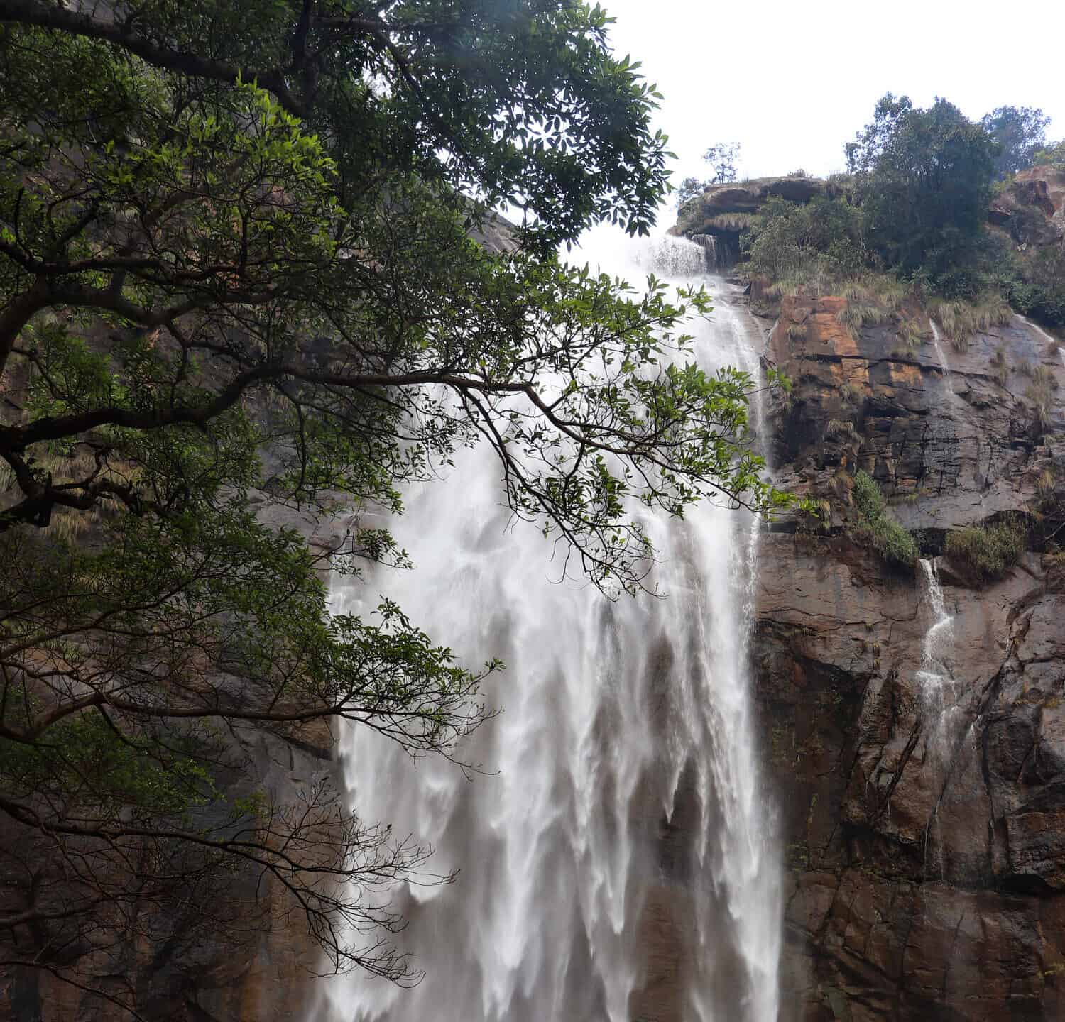 Agaya Gangai waterfalls are located in Kolli Hills of the Eastern Ghats, in India. Panchanathi, a jungle stream, cascades down as the Agaya Gangai.