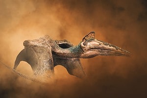 What Was The Largest Pterosaur? Picture