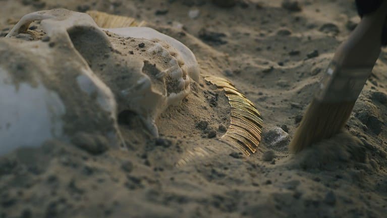 The 10 Oldest Human Fossils Ever Found - A-Z Animals