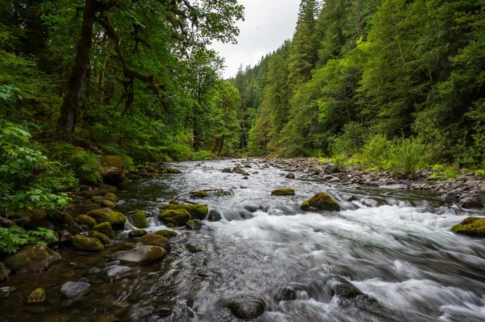 Salmon River water flowing in Oregon