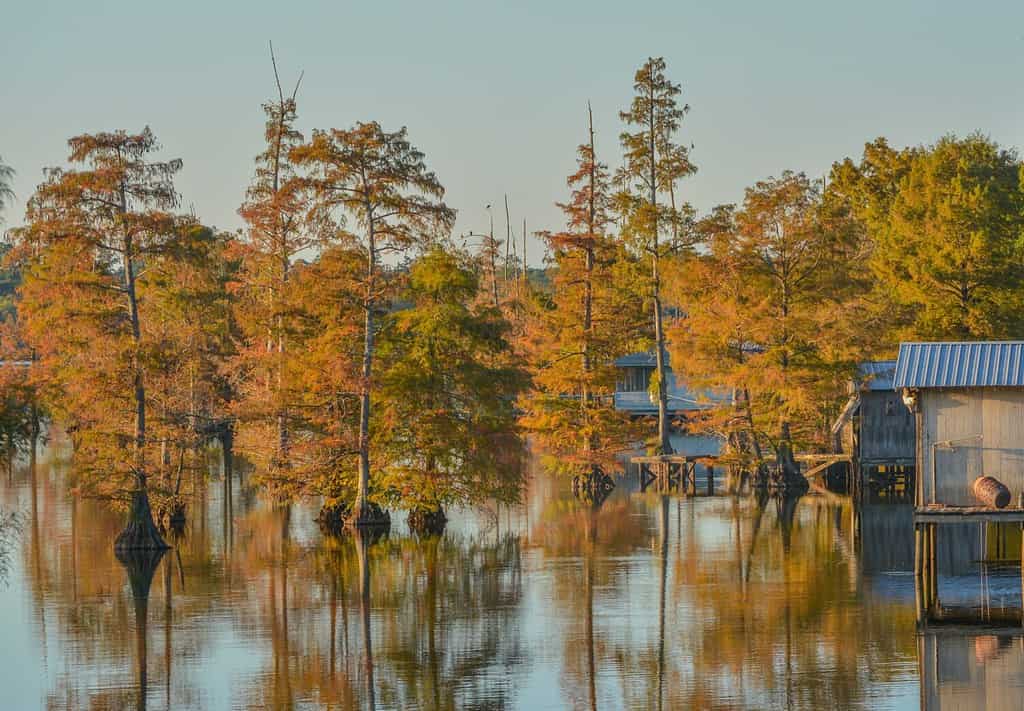 Geography of Louisiana