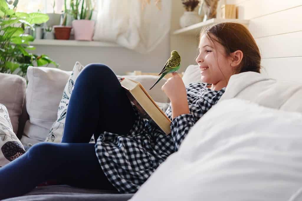 Schoolgirl reading a book at home in a living room in the company of her pet parakeet. Reading assignments for school children.