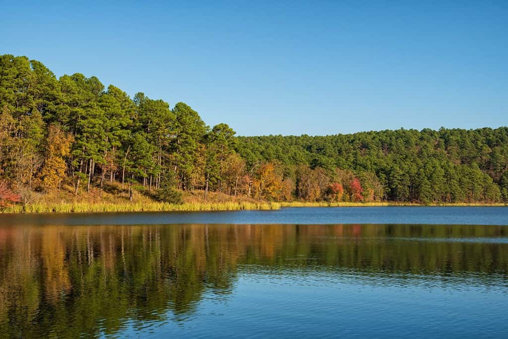 Fall colors reflecting on Cedar Lake in southeast Oklahoma against blue November sky