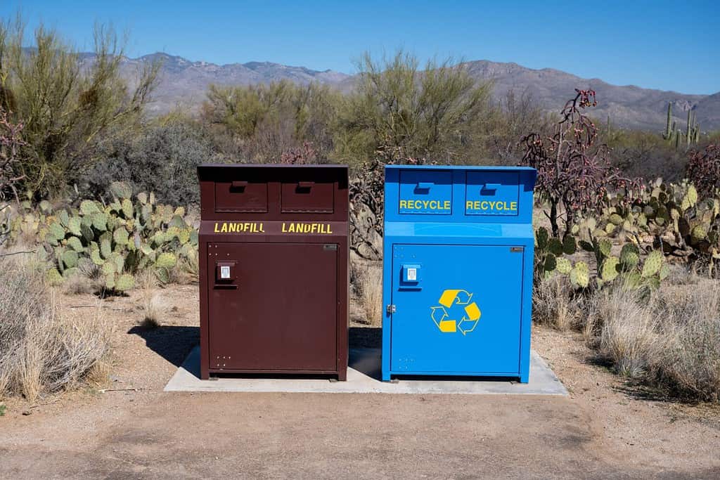 Trash and Recycling Bins in Arizona Desert in Saguaro National Park