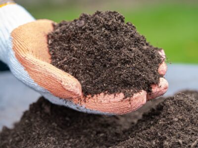 A Topsoil vs. Fill Dirt: What’s the Difference and Which One Do You Need for Your Landscaping?