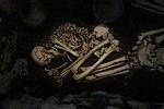 The 10 Oldest Human Fossils Ever Found - A-Z Animals