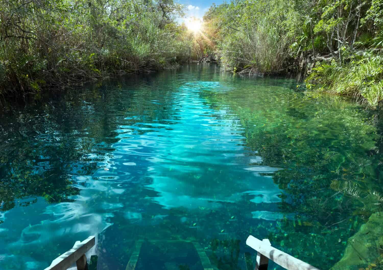 Mexico tourism destination, caves and pools of Cenote Escondido near Tulum and Playa Del Carmen.