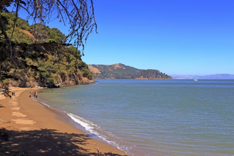 Calm ocean water along the shoreline of Angel Island, San Francisco Bay.