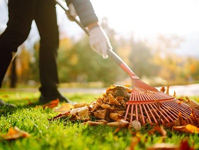 A 12 Reasons to Always Rake Your Leaves
