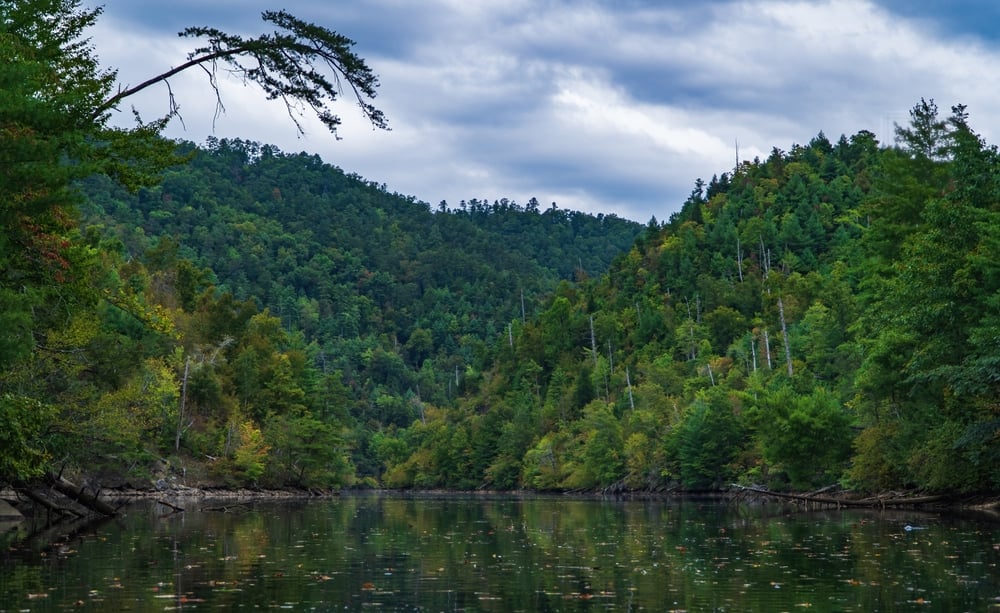 View of Smoky Mountains Foliage from Chilhowee Lake, from Kayak, Beginning of Fall, End of Summer