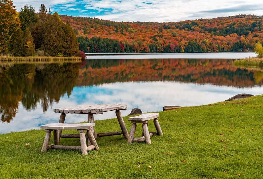 The 6 Best Fishing Lakes in Vermont - A-Z Animals