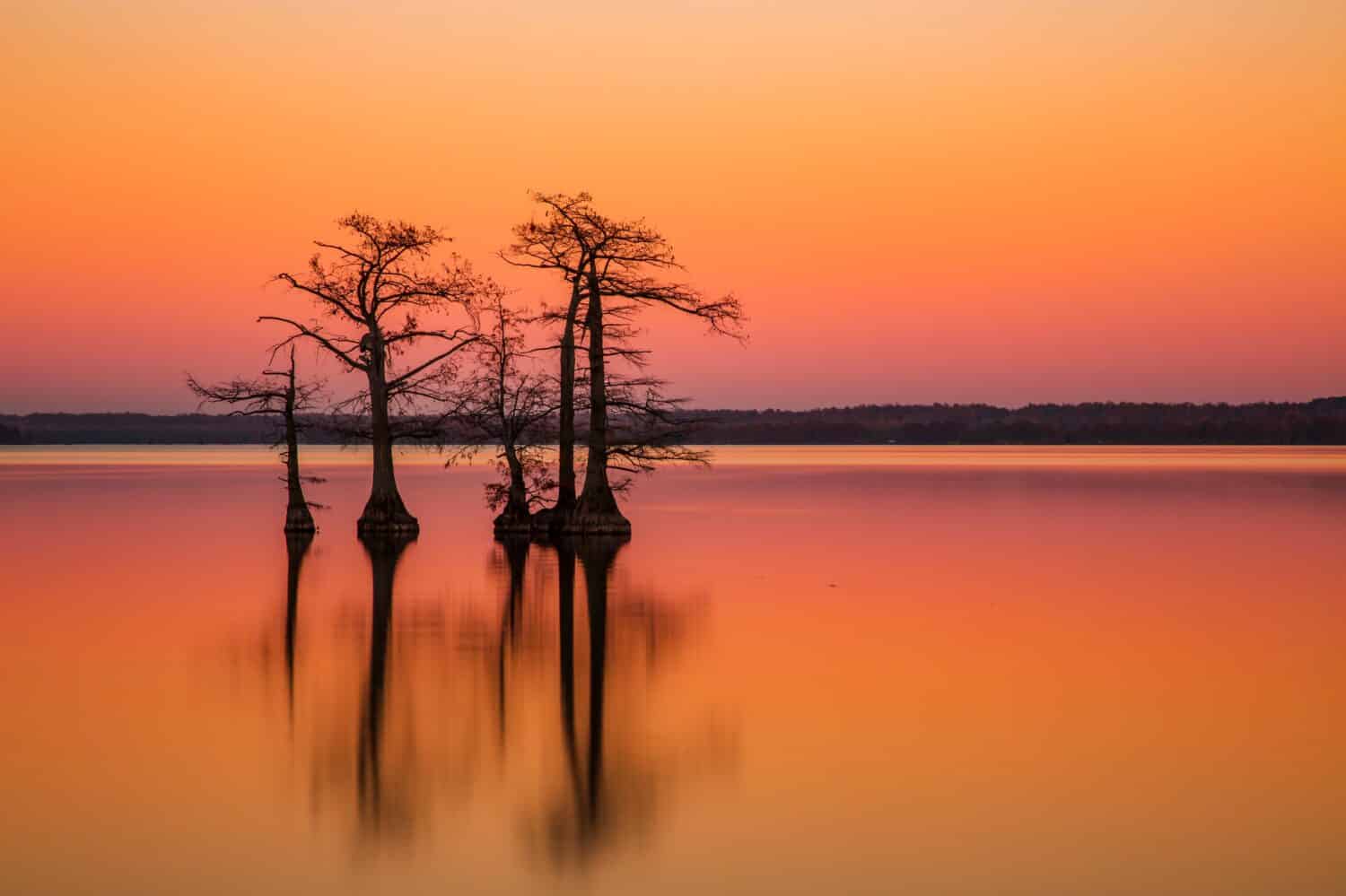 Landscapes of Reelfoot Lake State Park Tennessee in Sunset.