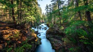 How Long Is Oregon’s Picturesque Rogue River From Start to End? Picture