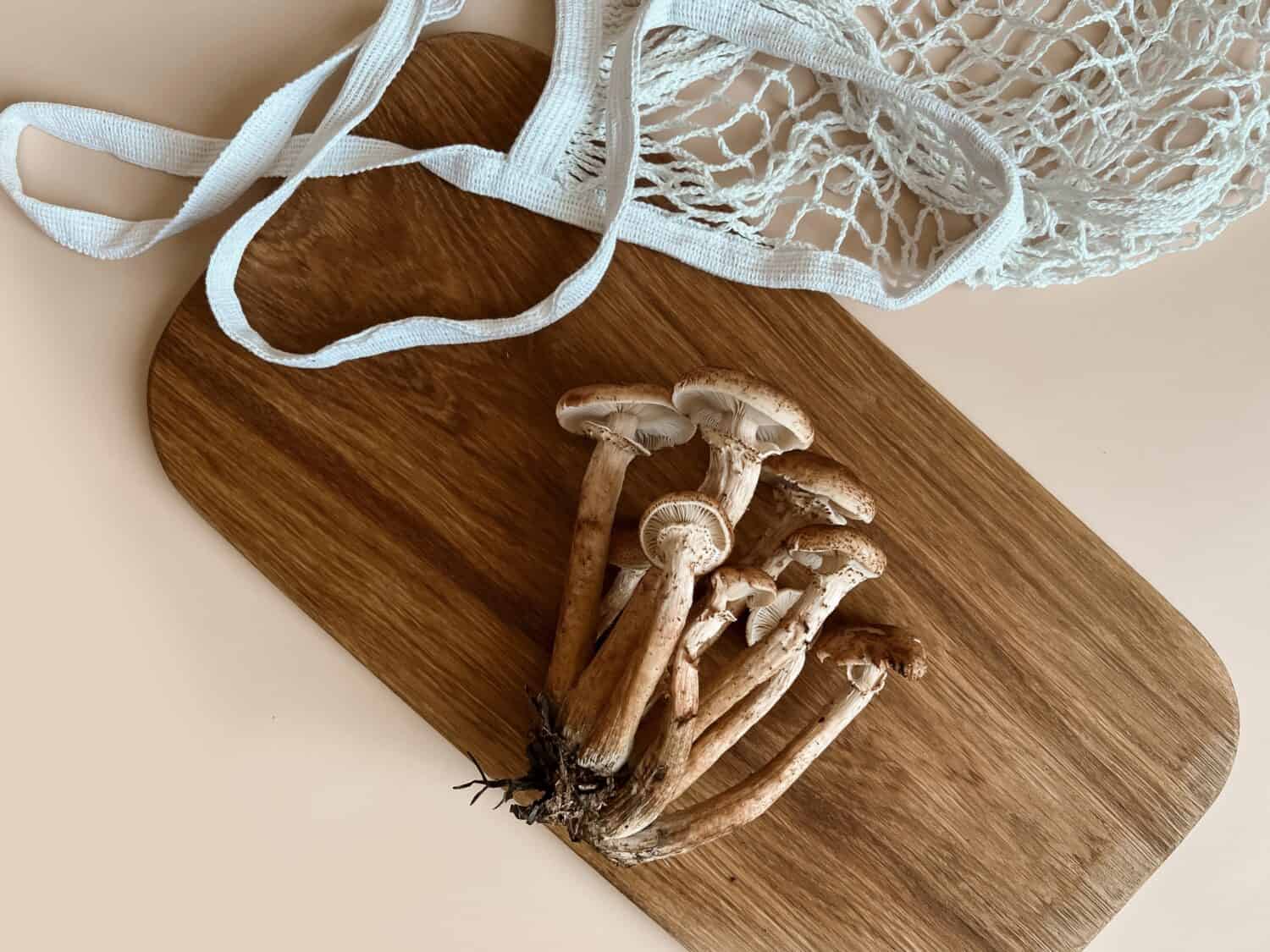 Mushrooms of honey mushrooms lie on a wooden oak board on a beige background next to a white braided string bag. Mushroom picking. Copy space. Top view.
